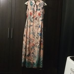 Chinoiserie Dress and Slip.